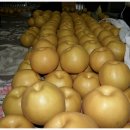 봉현농장 이미지