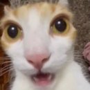 이동연 | [251119 뮤지컬 트루스토리] 멋진 어른으로 객석에서 바라봐주기 17일차