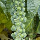 화림농장 이미지