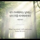 오늘의 '영어성경 사진'(886강) “내가 신뢰하는 하나님”(시편 56편 3절) 이미지