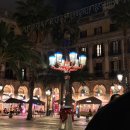 LA음악광장 | 바르셀로나 고딕지구 야경투어 | 솔직후기 + 비니투스 꿀대구 맛집까지