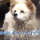 김옥자농장 이미지