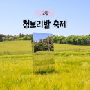 자연농장 | 고창 청보리밭 축제 주차장 셔틀버스 입장료 운영시간, 학원농장 토요일 방문 후기