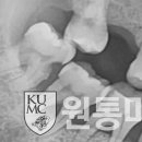 인제치과의원 이미지