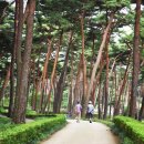 생활원예 야간 이미지