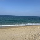 미시령황태연가 이미지