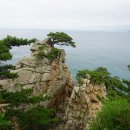 해파랑길 42코스 이미지