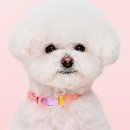 my fluffy(마이 플러피)