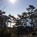 동해쌀집