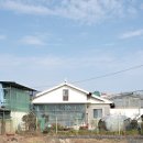 홍동면 고요마을회관 | 충남 홍성 내포 부모님 생신상 오혜린 출장부페 내돈내산 후기