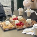 야간비행 | 출장)[벨기에] Day 1. KLM 야간비행 후기 암스테르담 경유 브뤼셀 1일차. 그랑플라스. 디저트 시장조사...