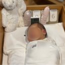 노원라테라산후조리원 | [노원 라테라 산후조리원] 2주 이용후기 | 마사지, 가격, 남편출입