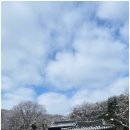 설경 | 안성 가볼만한곳 석남사, 도깨비 촬영지 설경에 두 번 반한 후기