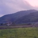진도카멜리아힐즈오토캠핑장 이미지
