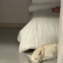 델루나 관광펜션 네이버블로그