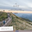 장암 송죽 억새길 이미지