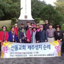 제주이레여행사