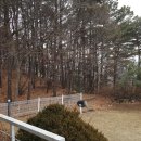 좋은터공인중개사사무소 이미지