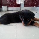 카리스마안경원 이미지