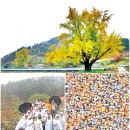 (사)춘천의병마을 네이버블로그