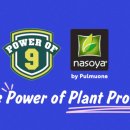 더(The)고기 이미지