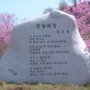 [현대시 서핑] (1) 진달래꽃/김소월 이미지