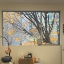 네일와토 | 영통 네일 | 쥬에르네일속눈썹에서 겨울맞이 젤네일 받고 온 후기