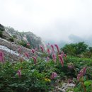 플러스알파