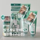 ㈜대화로점 현대자동차 | 12월 올영세일 기간, 올리브영 치약 추천템 덴티스테 트리플 기획팩 후기