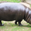 안하마을 이미지