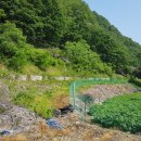 무주읍253 이미지