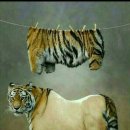 지금은 세탁중 이미지