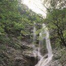 국민힐링 이미지