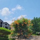 경암경로당 이미지