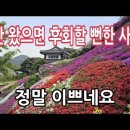 비구니 스님이 18년간 피와 땀으로 가꾼 절 - 대명사 이미지