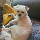 대실근린공원 이미지