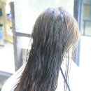 헤어 프린스
