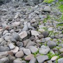 개구리목장 이미지