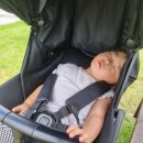 옥정중앙공원 아쿠아가든 이미지