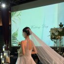 (유)쎈스 이미지