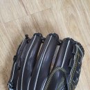TRN Hand-crafted Oversea KIP 레디얼 패턴 투수글러브 이미지