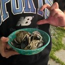 다포아라 | 여행) 거제 다포리, 다포아라펜션 / 고양이들과 보내는 촌캉스🐈‍⬛🐈