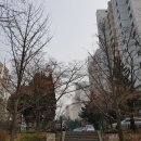 개포석영공인중개사사무소 이미지