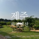 제주화랑펜션2층집 | 제주공항근처 감귤밭숙소 가족독채펜션 모두 만족한 화랑펜션 추천