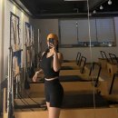 필라펠리스 이미지