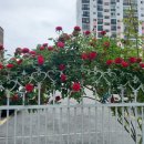 미소요양병원 이미지