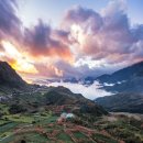 479,000원부터 봄꽃 가득한 사파 베트남 알프스, 사파로의 여행 이미지