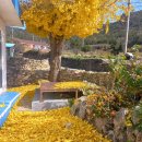 범바위민박 이미지