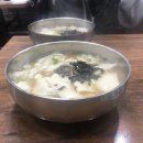김정태동물병원 네이버블로그
