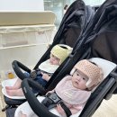 후둥 | 쌍둥이 6개월 아기 발달 기록과 일상들-2차영유아검진,배밀이,이유식